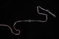 Silver Rakhi with Roli Chawal
