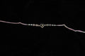 Silver Rakhi with Roli Chawal