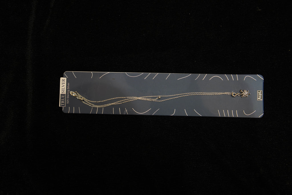Silver Rakhi with Roli Chawal