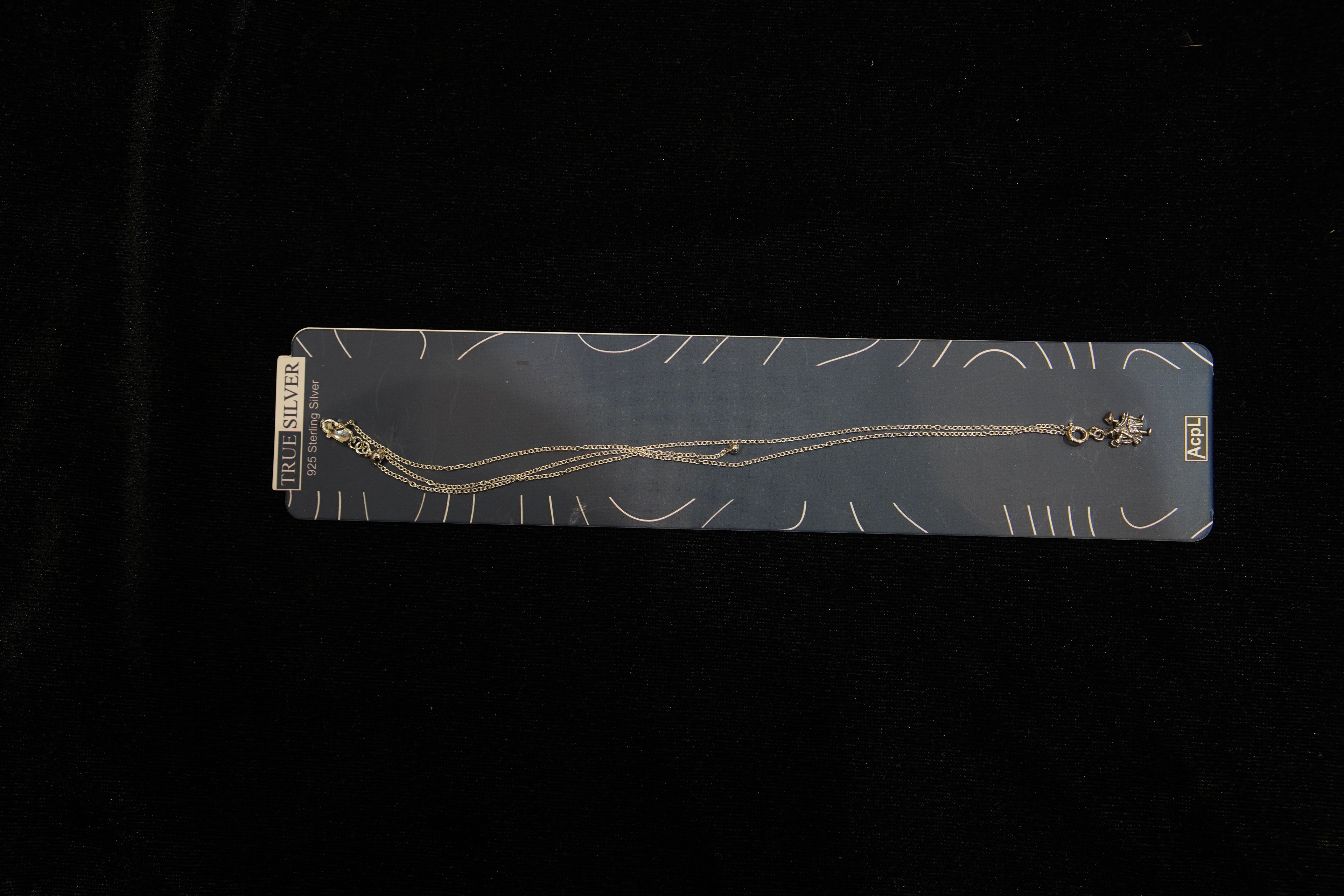 Silver Rakhi with Roli Chawal