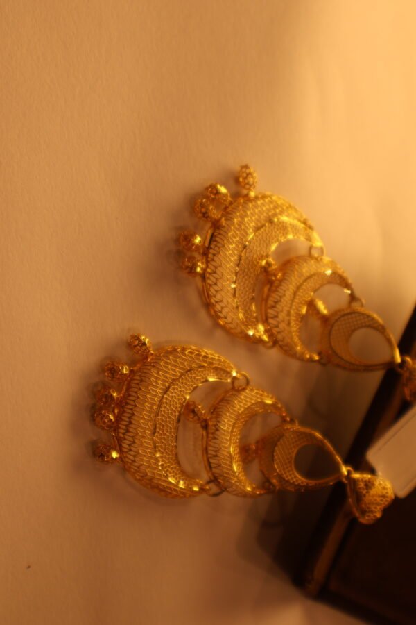 Earrings-ER22K/409
