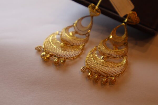 Earrings-ER22K/409
