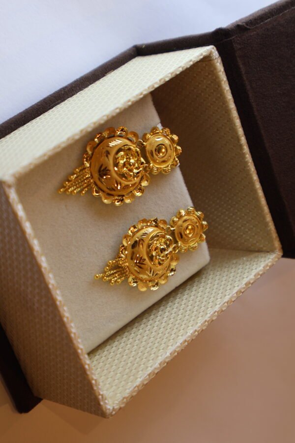 Earrings-ER22K/569