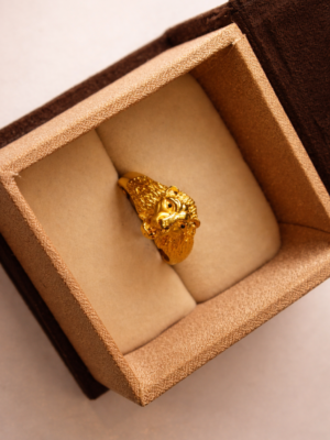 Gents Ring-GCR22/293