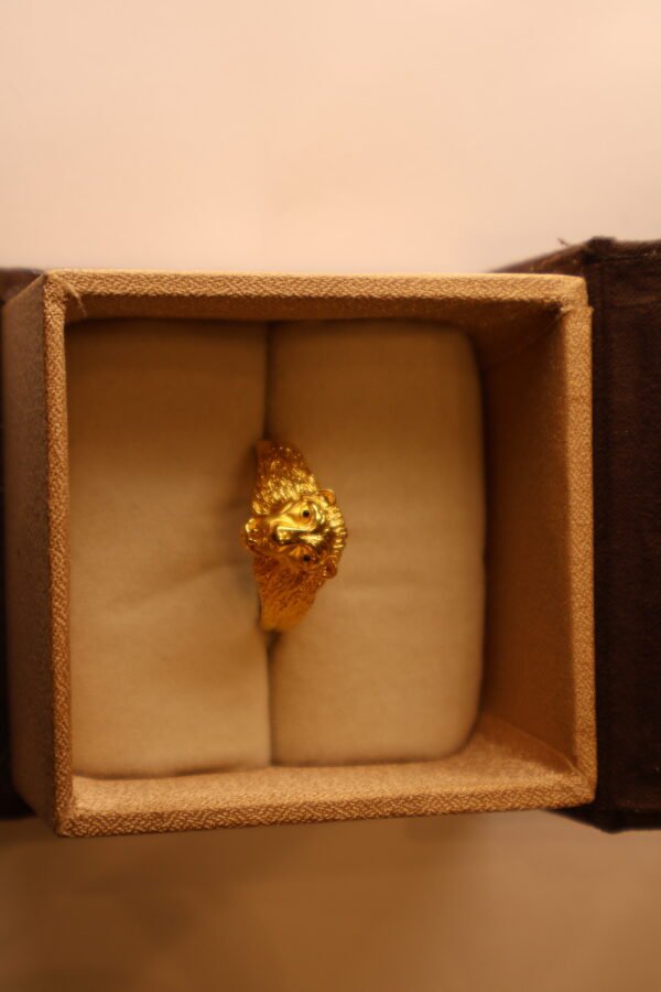 Gents Ring-GCR22/293