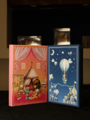 NON-MUSICAL COIN SET BOX-SLCST/118